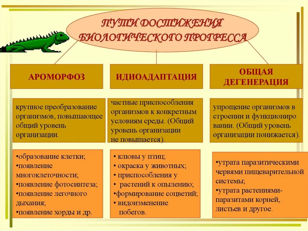 Биологический прогресс ароморфоз общая дегенерация и