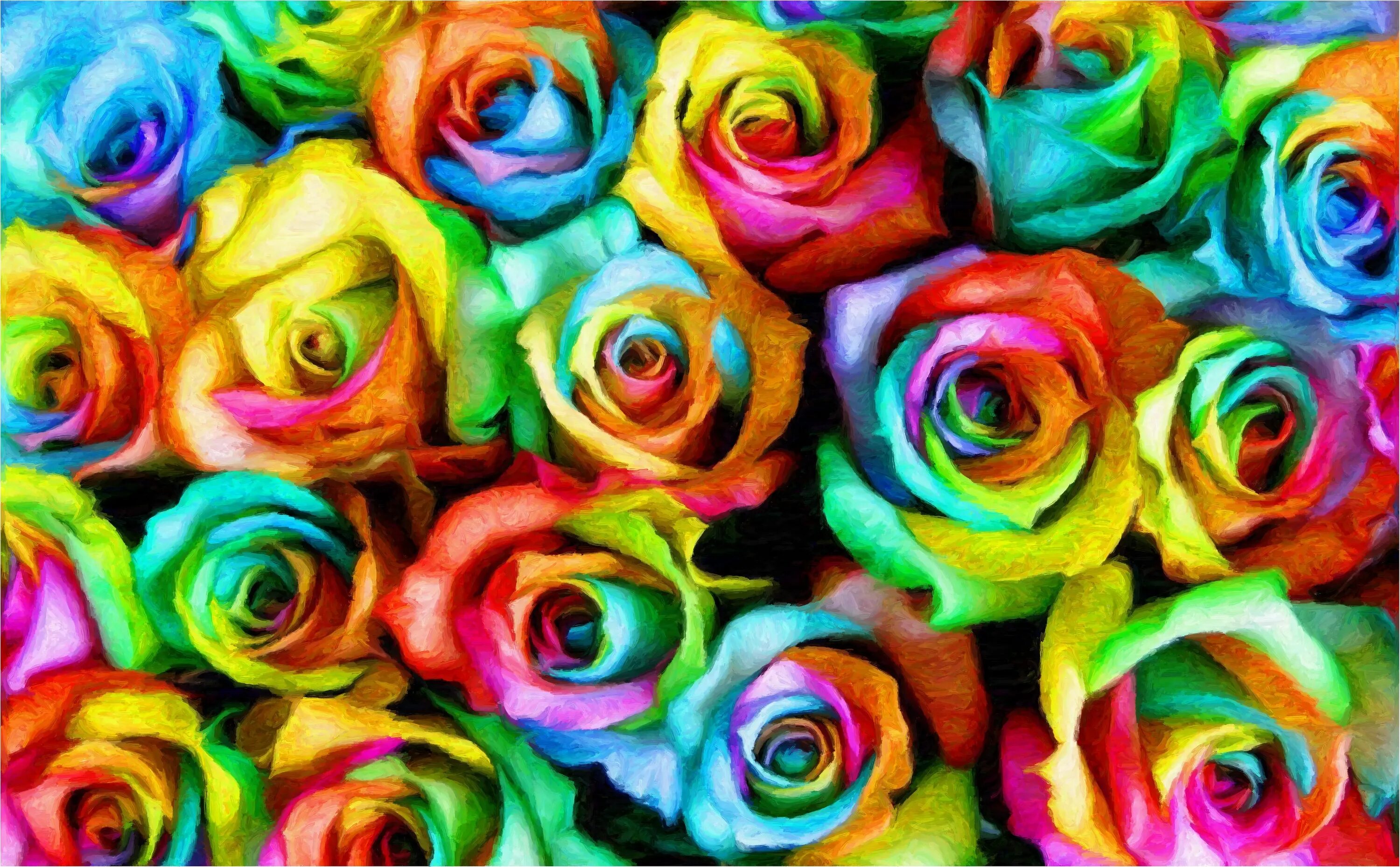 Разноцветные цветы. Цветные розы. Яркие цвета. Радужные цветы.