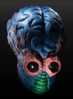Head had