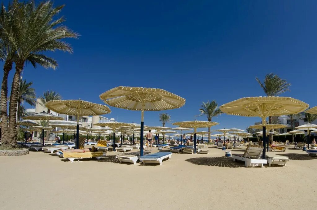 Seagull beach hurghada 4. Египет Сигал Бич Резорт Хургада. Сигал Бич Резорт 4 Хургада. Sea Gull 4 Египет. Египет,Хургада,Seagull Beach Resort пляж.