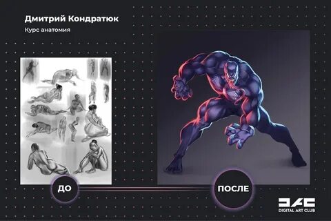 Курс по анатомии