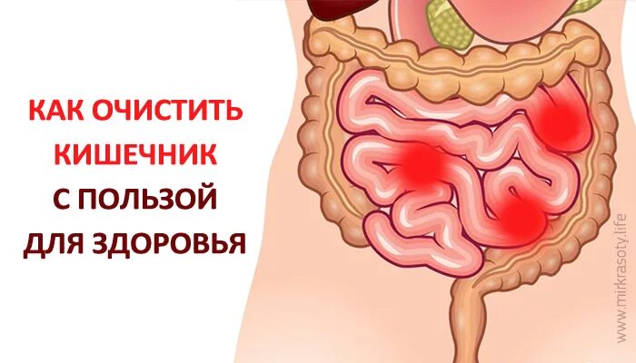 Прочистка кишечника. Прочистка кишечника