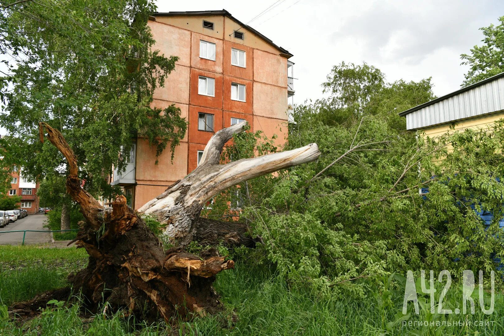 Ураган в Кемерово. Кемерово упали деревья. Штормовой ветер в Кемерове. Сиьнай ветер в Кузбассе.