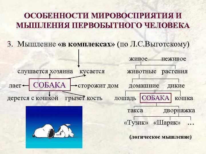 Способы мышления первобытного человека. Особенности первобытного мышления. черты первобытного мышления. специфика первобытного мышления. характеристики первобытного мышления.