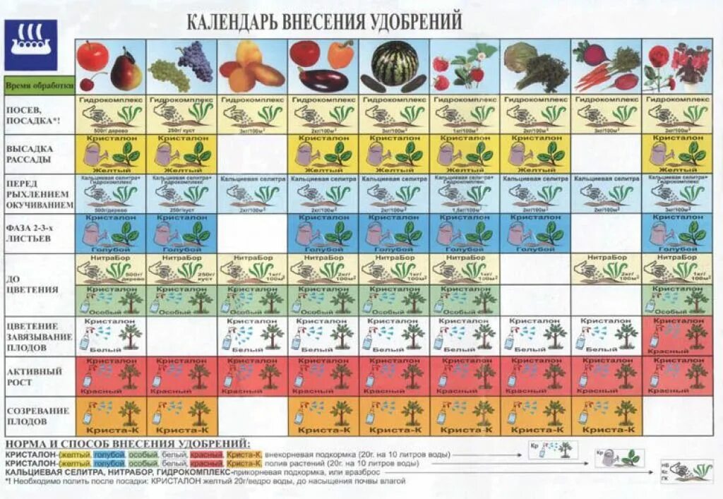 Расписание плодовое. Календарь внесения удобрений. Таблица внесения удобрений. Схема внесения удобрений. График внесения удобрений.