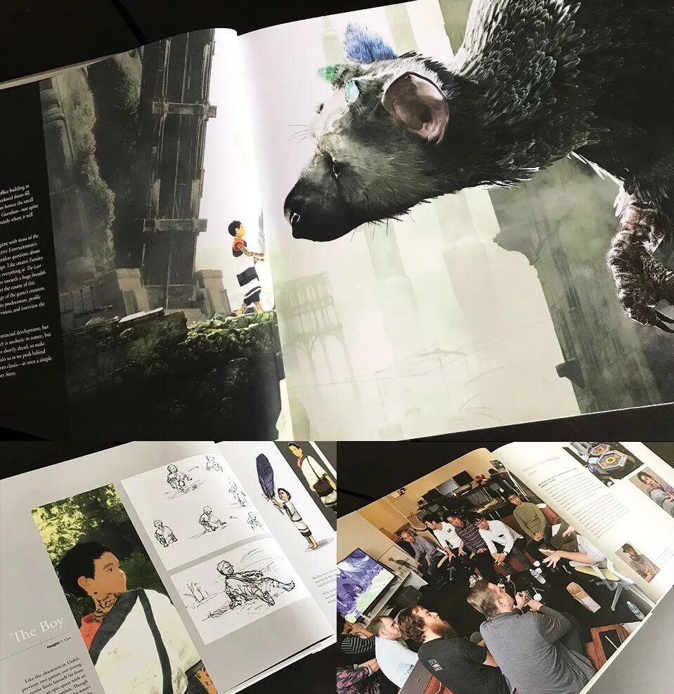 Последний страж том 1 читать. The last Guardian артбук. The last Guardian брошюрка. The last Guardian книга. Зе ласт Гардиан артбук.