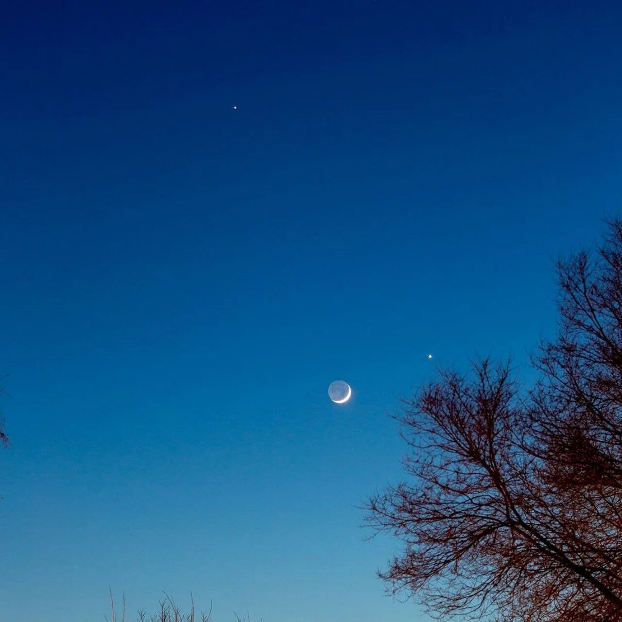 Какая планета сегодня видна рядом с луной. Планета рядом с луной на небе. Месяц на небе.