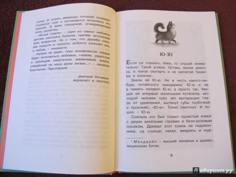 Изложение по рассказу ю ю 5 класс. Пушистый комок изложение. сначала это был пушистый комок.