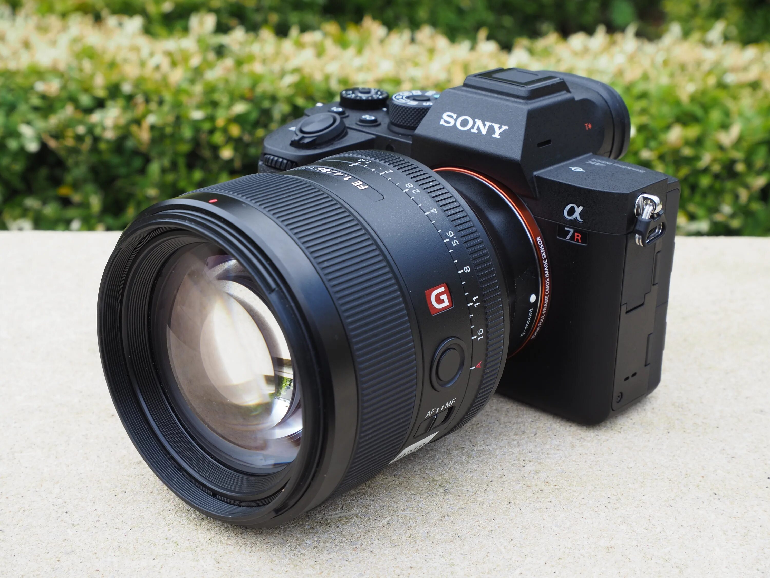 Sony Alpha a7 r4. Sony a7r Mark IV. Sony Alpha 7 IV. Sony Alpha a7r IV. Фотоаппарат sony alpha 7