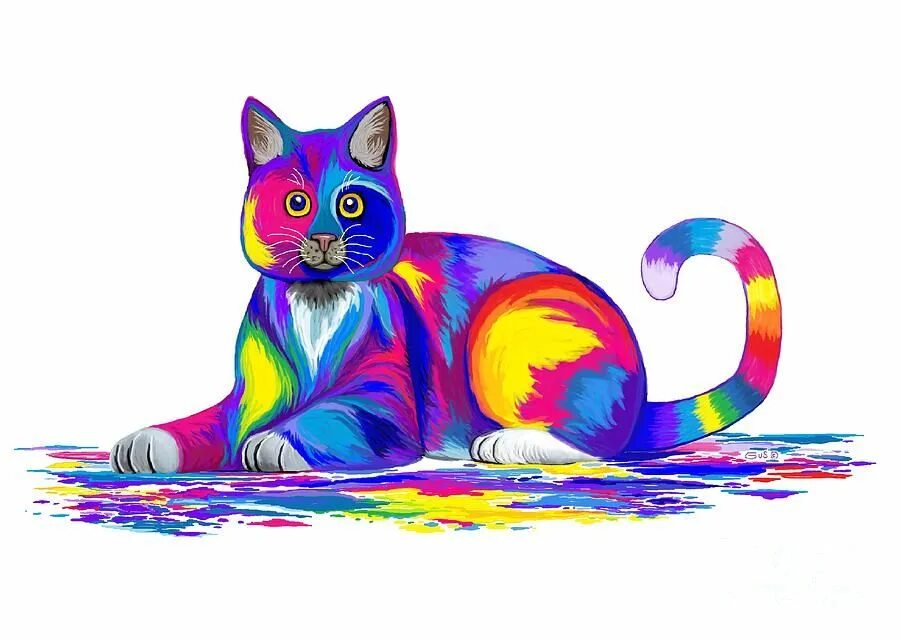 Colorful cat