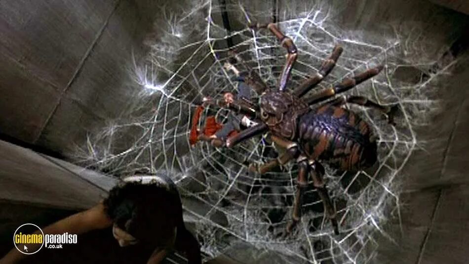 Пауки 2000 год. Зачарованные паучиха. Огромный паук.