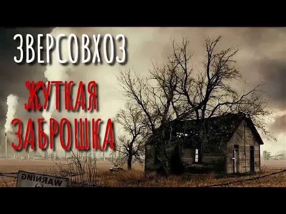 Страшные истории про деревню подряд