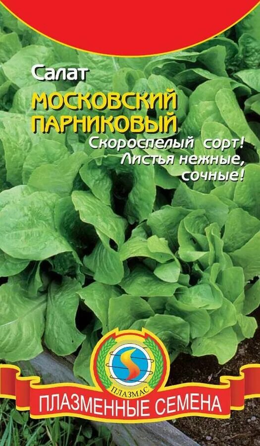 Салаты сорта для подмосковья
