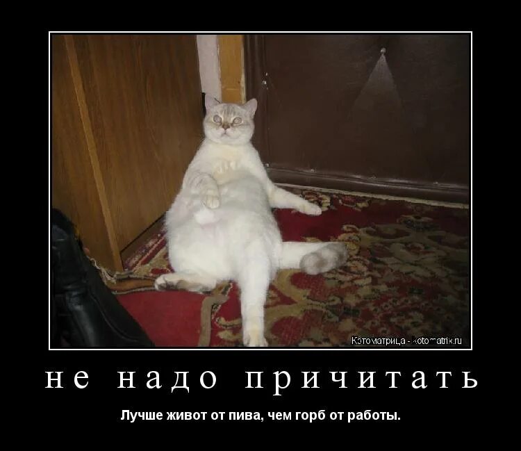 Давно не получал. Давно не получал