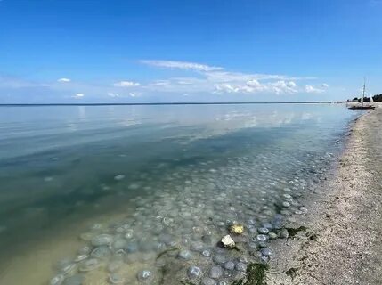 Азовское море больше черного