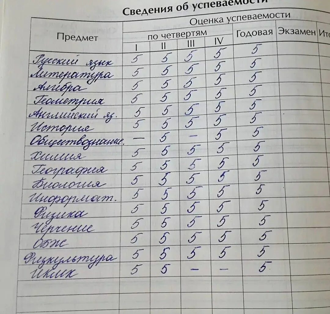 Каким предметам пятерки