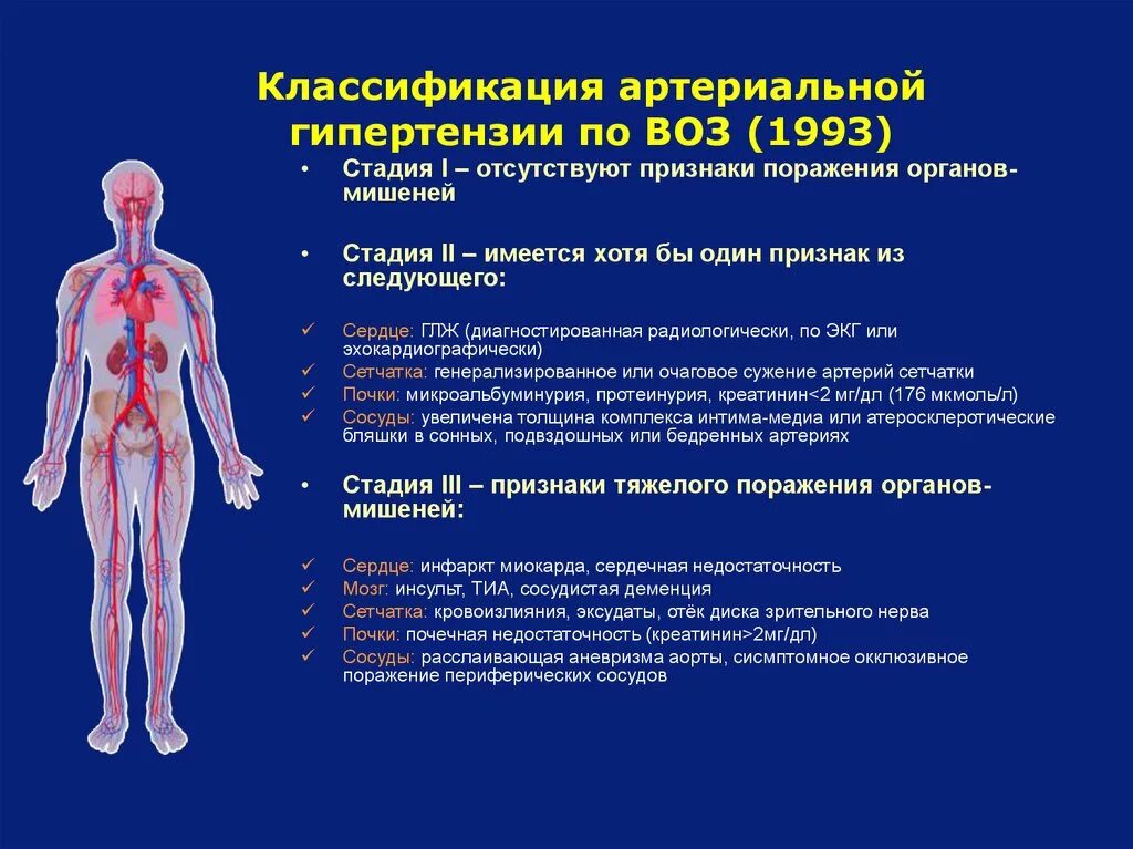 Симптомы поражения органов. Поражение органов мишеней при гипертонической болезни по стадиям. Классификация артериальной гипертензии по поражению органов мишеней. Классификация стадий артериальной гипертензии по воз. Классификация артериальной гиротензии.