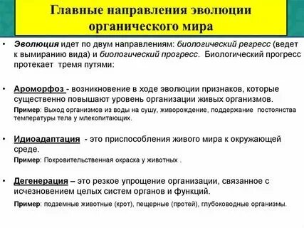 Характеристика направлений развития