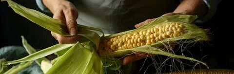Кукуруза не переваривается