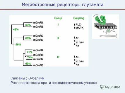 Group coupling