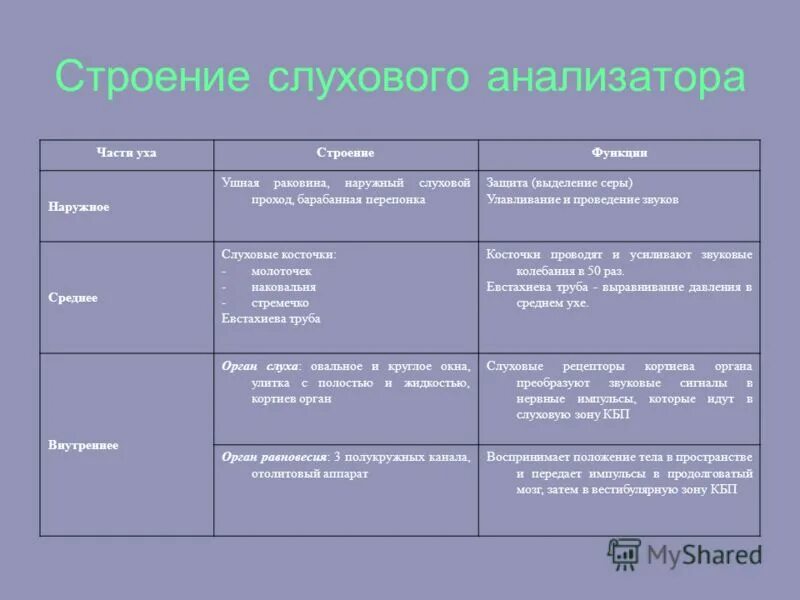 Изучение строения органа слуха на муляже. Слуховой анализатор строение и функции. Таблица орган слуха. Строение и функции слуха таблица.