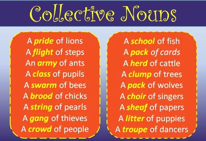 Collective Nouns в английском языке. Group Nouns в английском языке. Common Nouns в английском языке.