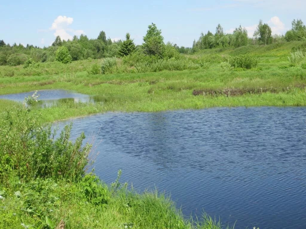 Экология кировской области. Национальный парк Вятка. Национальный парк Вятка границы. Какая экологическая ситуация в Кировской области.