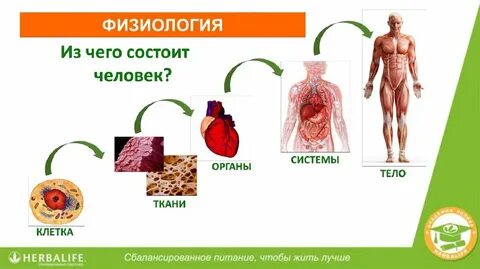 Без каких