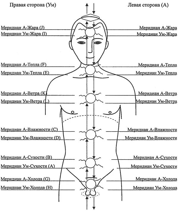 13 точка человека. Энергетические каналы и меридианы человека схема и направления. Меридиан человека схема энергетических каналов. Энергетические каналы человека (меридианы). Су Джок энергетические точки.