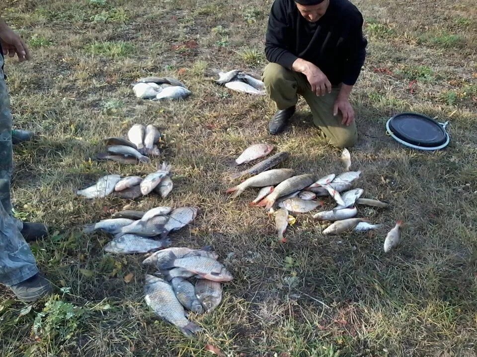 Уровень ахтубы в ахтубинске сегодня. Ахтубинск рыбалка. Ахтубинск Астраханская область рыбалка. Рыбалка в Ахтубинске зима. Рыба в Ахтубинске.