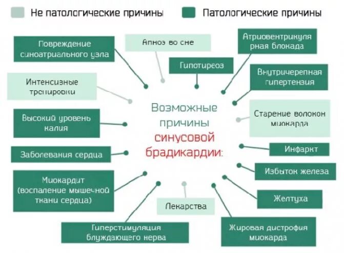 Какие симптомы брадикардии. Брадикардия. Синусовая брадикардия чсс. Брадикардия сердца что это. Брадикардия в покое.