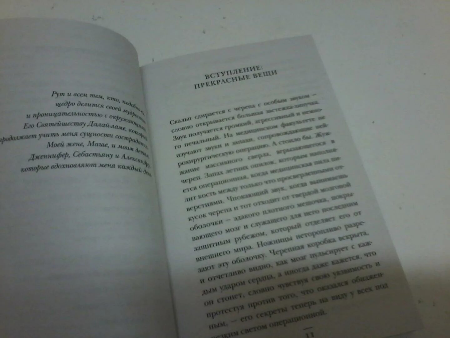 Лавка чудес книга. Лавка чудес книга. Джеймс доти лавка чудес. "лавка чудес". Книга лавка чудес (амаду ж.