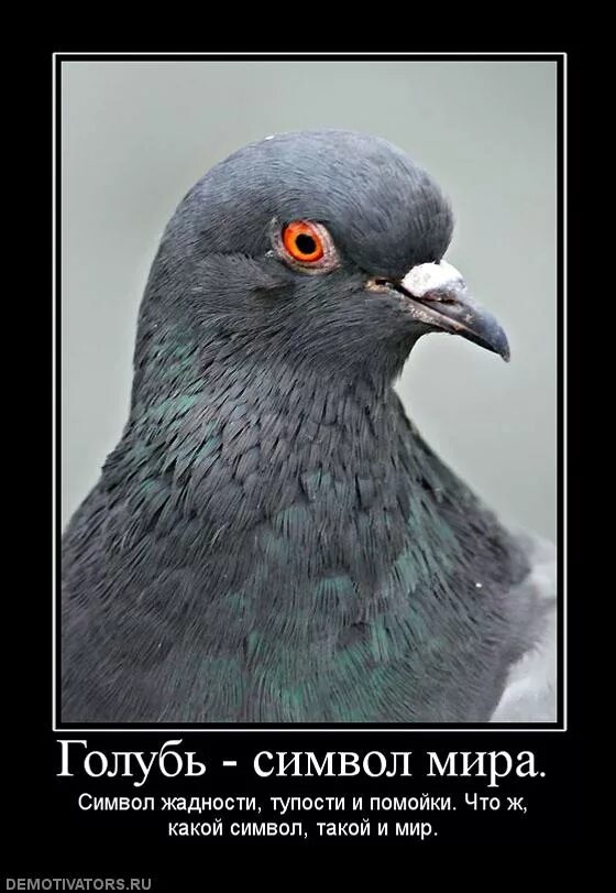 Бойся голубых. Книга долина страха дойл. Бойся голубых. Бойся голубых. Бойся голубых.