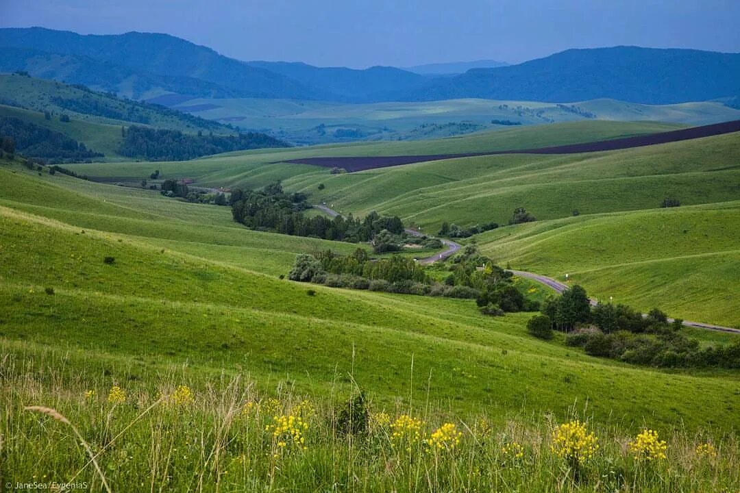 Погода ивановка алтайский край. Чергинский хребет Алтай. Село Алтайское Алтайский край. Чарышский район Алтайского края села Ивановка. Тальменка Солонешенский район Алтайский край.