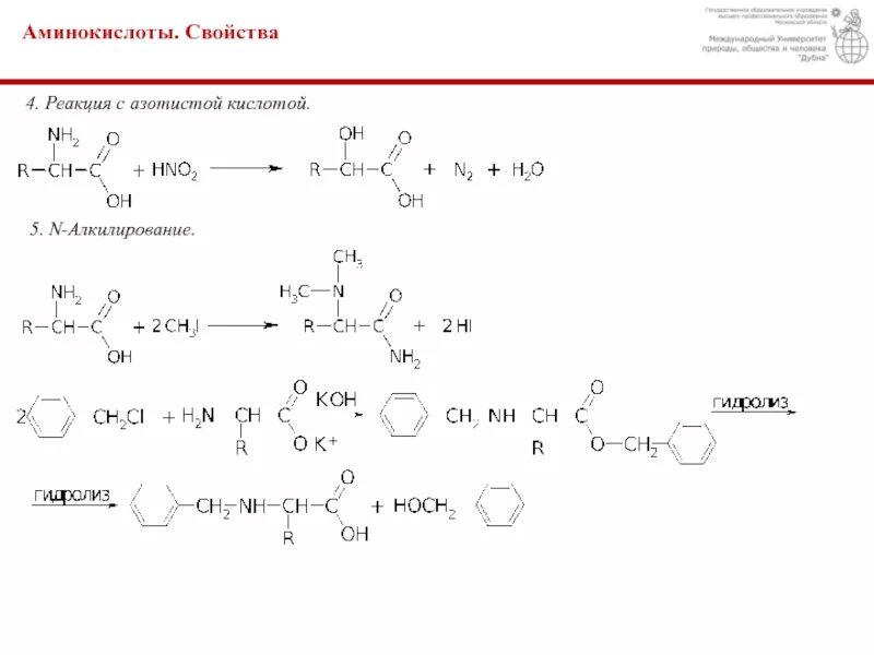 Взаимодействие аминоуксусной кислоты с азотистой кислотой. Реакция алкилирования аминокислот. Алкилирование аминокислот. Взаимодействие лизина с азотистой кислотой.