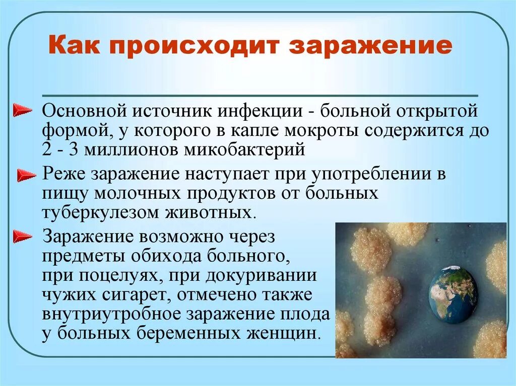 Сколько творится. Как происходит заражение. Как происходит заражение гриппом. Как происходит заражение туберкулезом. Как происходит заражение микозами.