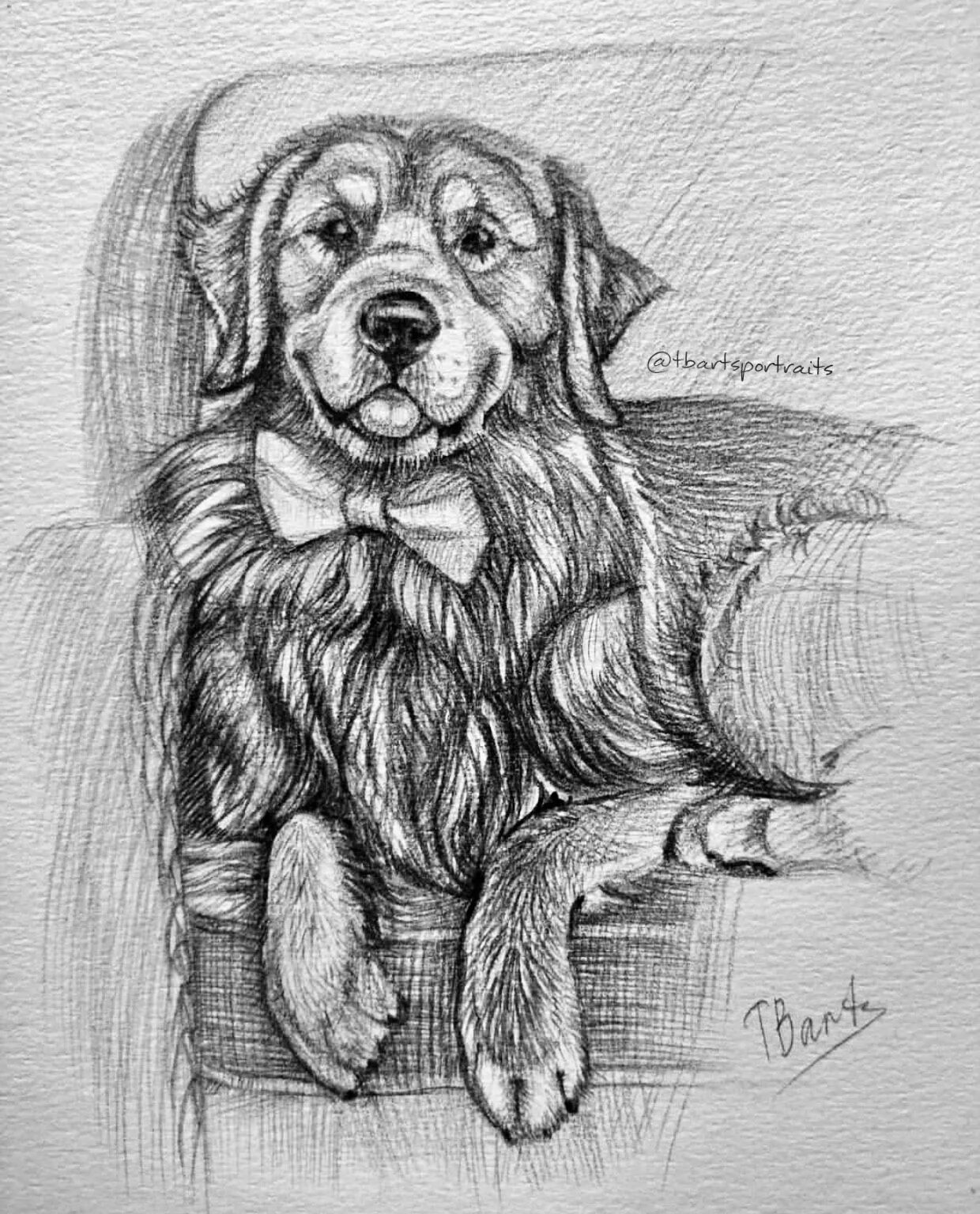 Собака рисунок карандашом. Карандашные Наброски собак. Эскиз щенка. Карандашный рисунок собаки. Рисунок собаки графика