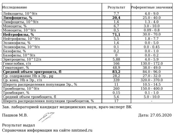 Показатели лейкоцитов в крови при онкологии. Лимфоциты ly норма у женщины. Норма лимфоцитов у человека. Лимфоциты биохимия норма. Лимфоциты повышены кошка