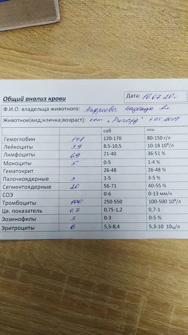 Анализ крови соэ мм ч. Что такое СОЭ В анализе крови. Результаты анализов СОЭ. Общий анализ крови + COЭ. Гематокрит в анализе крови.