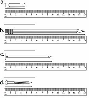 Max length c