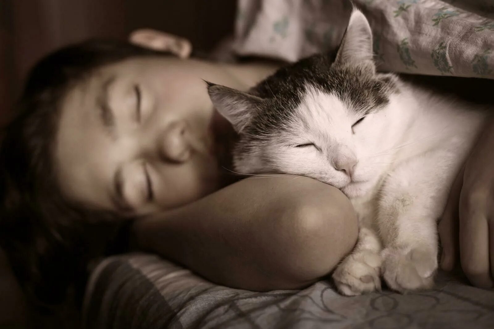 Почему кошка приходит спать к человеку. Спящий человек с котом. кот спит в обнимку с хозяином. котенок спит с человеком. кошка спит рядом с хозяином.