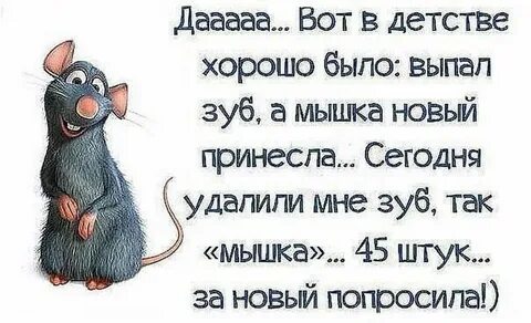 Мыши анекдот