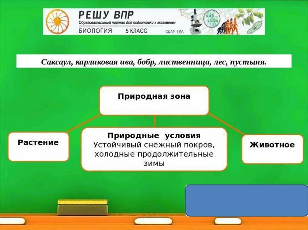 Тайга гадюка верблюд морошка. Природные зоны ВПР биология. Природные зоны ВПР 5 класс биология. Природная зона пустыня ВПР биология 5 класс. Природная зона степь 5 класс биология ВПР.