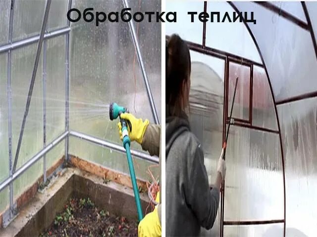 Чем обработать землю в теплице от помидор