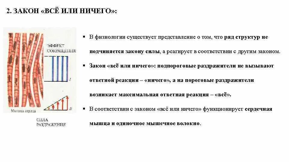 Закону силы подчиняется