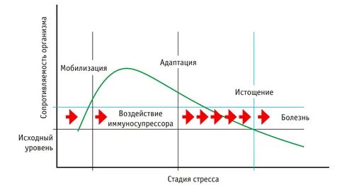 Влияние мобилизации
