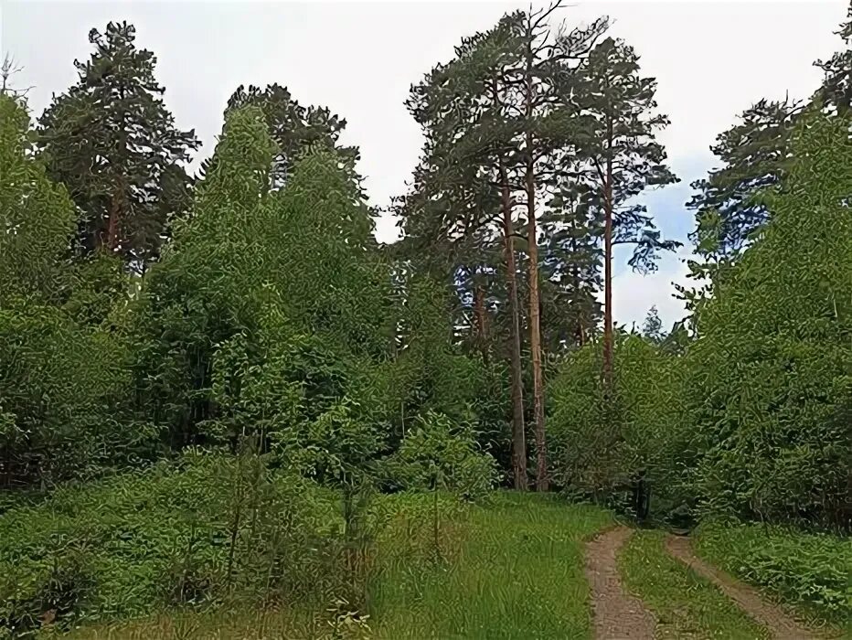 ФотоТелеграф " Церковь Знамения Пресвятой Богородицы в Дубровицах