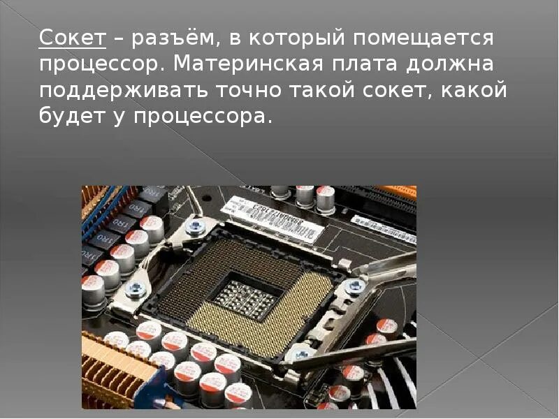 Процессор для презентации. Виды процессоров. Сокет. Сообщение о просесора.