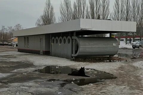 Песня у павильона