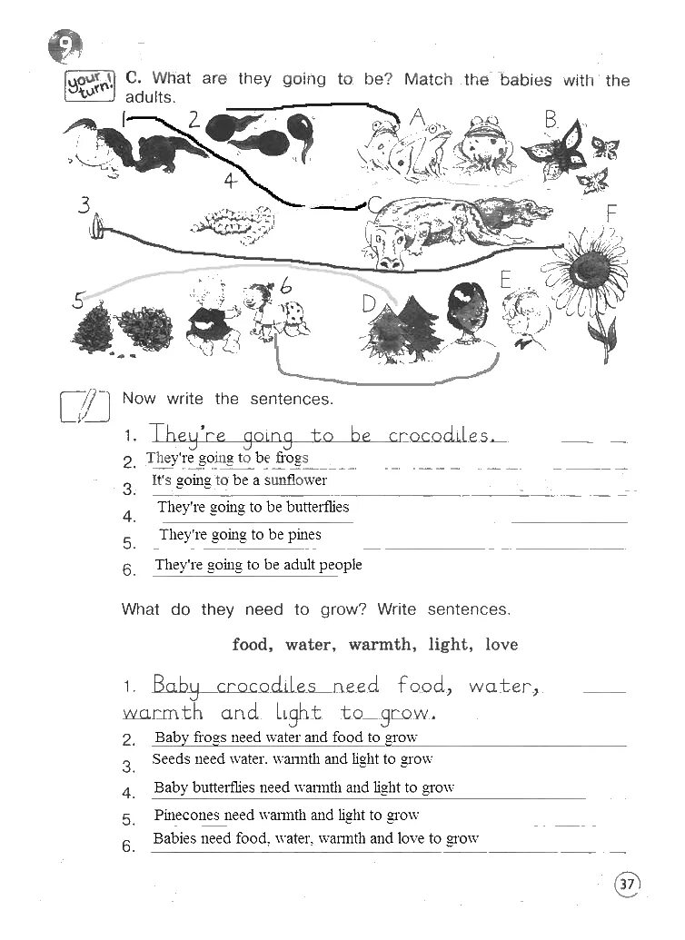 вербицкая 4 класс рабочая тетрадь. английский язык. рабочая тетрадь forward вербицкая английский язык 4 класс. учебник русского языка 4 класс 2 часть вербицкая. учебник по английскому языку 4 класс 2 часть вербицкая.